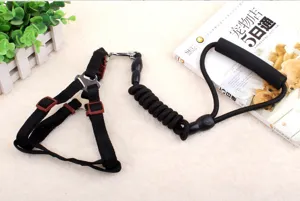 Nylon Haustier Hundeleine und Geschirr Set, langlebiges elastisches Trainingsseil für Spaziergang.