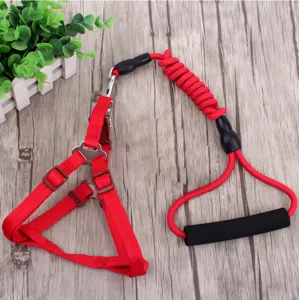Langlebiges Nylon Hunde Geschirr und Leine Set mit elastischem Bungee und weichem Griff.