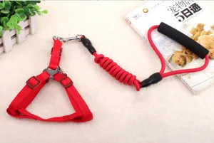 Rotes Nylon Haustier Hundeleine und Geschirr Set Detail, langlebige elastische Welpen Leine.