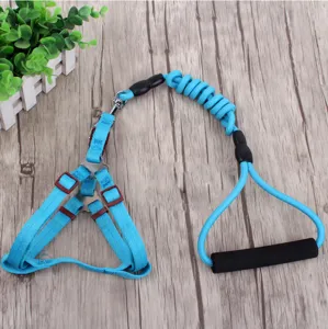 Blaues Hundegeschirr und Leine Set, strapazierfähiges Nylon Haustier Spazierseil.