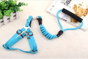 Blaues Haustier Geschirr und Leine Set, langlebiges Nylon Hunde Spazierseil mit weichem Griff.