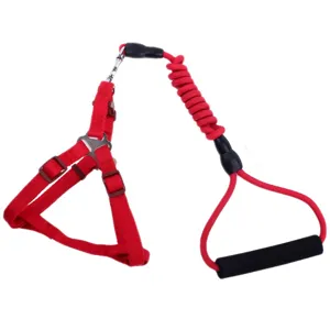 Rotes Nylon Haustier Hundeschirr und Leine Set mit elastischem Bungee und Griff gassigeben
