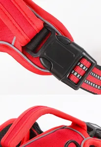 Gros plan detail du harnais de poitrail pour chien en tissu Oxford rouge avec boucle et sangles.