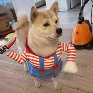 Funny Halloween pet costume for small dogs cats killer doll transformation outfit