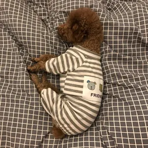 Soft Comfortable Cute Animal Print Dog Pajamas Four-Legged Homewear Breathable Puppy Cat Clothes Small Dogs Apparel
