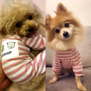 Comfortable soft striped pet pajamas for small dogs puppies cats, cute home wear sleepwear.