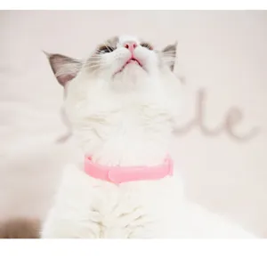 Cute pink silicone pet collar detail, comfortable neck strap for cats and small dogs daily wear.
