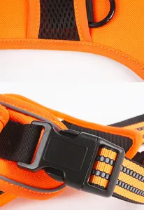 Vue détaillée d'un harnais pour chien orange résistant, maille respirante, boucle et sangles.