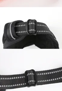 Gros plan détail du harnais pour chien noir avec sangle réfléchissante et boucle en plastique.