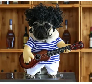 Funny pug guitar pet costume detail view showing funny wig and cute striped outfit.