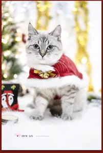 Christmas cat cloak costume pet holiday red cap cape with bells and white plush trim