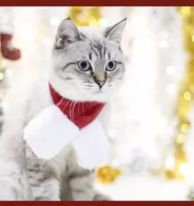Cute pet Christmas costume scarf for cats and small dogs, festive red and white winter pet apparel.