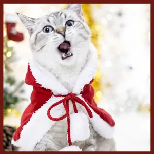 Cute cat Christmas cape red pet cloak warm holiday costume for small dogs and cats