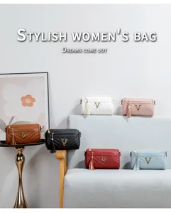 Stylish women's quilted crossbody bag luxury shoulder pillow bag with metal V buckle and tassel.