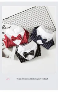 Detailed view of pet suit apparel, striped shirt with cute bowtie for cats and small dogs.