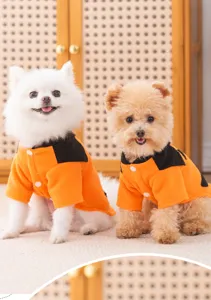 Cute pet Halloween pumpkin costume for small dogs and cats, orange and black autumn pet clothing.