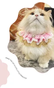 Cute pink gold lace pet cat collar bow bib stylish princess pet fashion accessory decoration