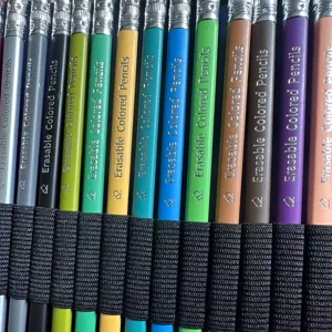 Uitwisbare kleurpotloden in een etui met verschillende levendige kleuren om te tekenen.