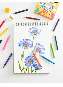 Colored pencil set detail shot showing 12 vibrant colors, sharpener, and beautiful floral drawing.