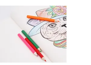 Colored pencils set with sketch coloring book for kids art drawing and creative painting activities.