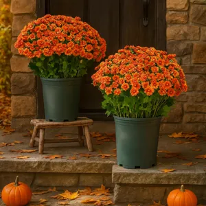 Kunstblumen Outdoor Chrysanthemen im Topf künstliche Herbstblumen für die Gartendeko