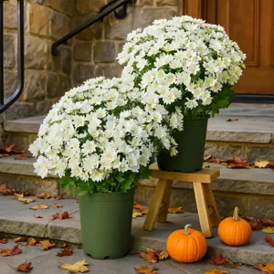 Künstliche Outdoor Chrysanthemen Topfpflanze Detailansicht für herbstliche Gartendeko.