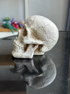 Διακόσμηση ανθρώπινου κρανίου Halloween, ρεαλιστικός σχεδιασμός οστών για πάρτι.