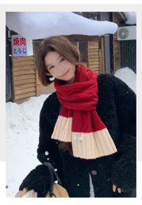 Detail shot of a cozy red and beige color-blocked knit winter scarf in a snowy outdoor scene.