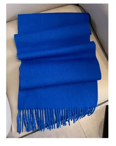 Close-up detail view of the vibrant royal blue winter wool scarf showing its soft texture and tassel.