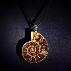 Nahaufnahme des Ammoniten Fossil Anhängers mit natürlicher Spiralstruktur und poliertem Stein.