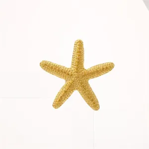 Gold starfish brooch metal pin close up detail accessory aesthetic beach theme fashion jewelry