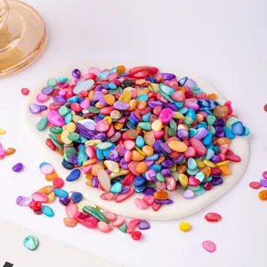 Bunte zerquetschte Muschelstuecke fuer Aquarium Dekoration und DIY Basteln Zubehoer.