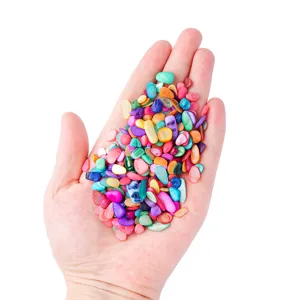 Bunte natürliche Muschelschalen Splitter für Aquarium Landschaftsbau und DIY Schmuck Hauptbild