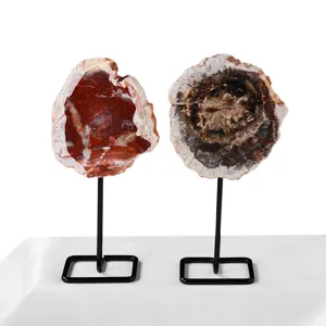 Natürlicher versteinert Holz Scheibe Kristall Energie Edelstein Ornament mit schwarzem Metallständer