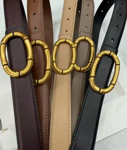 Detailed close-up showing the fine texture and elegant gold buckle of the multi-color leather belt.