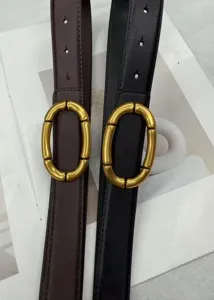 Close-up detail of stylish women leather belts featuring unique segmented golden oval buckles.