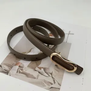 Vue de détail rapprochée de la ceinture fine pour femme en taupe avec boucle dorée élégante.