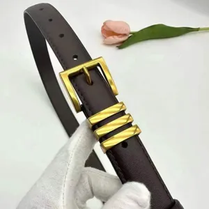 Close-up detail of women luxury leather belt with elegant gold square buckle and metal loops.