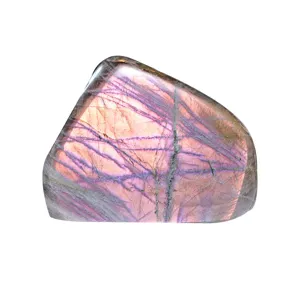 Natural pink purple flash labradorite gemstone palm stone crystal mineral specimen display.