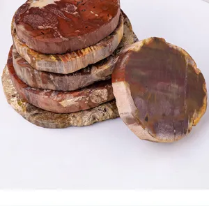 Natural Madagascar petrified wood slice mineral specimen for home decor and unique coasters.