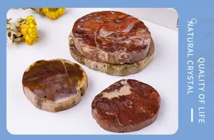 Natural Madagascar petrified wood slice mineral fossil coaster home decor crystal piece