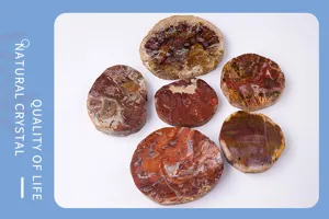 Detailed view of natural Madagascar petrified wood slices, exquisite mineral texture.