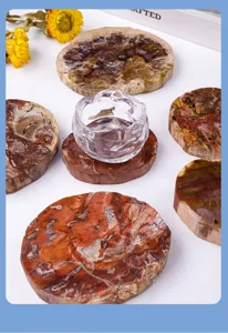Natural Madagascar petrified wood slice detail view, unique mineral coaster and jade fossil collection display.
