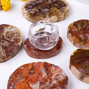 Natural Petrified Wood Slice Coaster Mineral Specimen Polished Wood Fossil Quartz Crystal Healing Stone Table Decor Ornament
