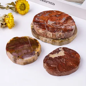 Natural Madagascar petrified wood slice coaster mineral specimen crystal home decor