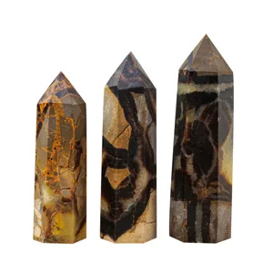 Natural Septarian Turtleback Stone Hexagonal Crystal Column Healing Energy Tower Home