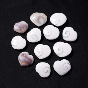 Natural sun shell heart fossil specimen, beautiful marine conch shell pendant for home decor.