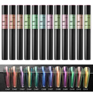 Nagelkunst Chamäleon Magie Puder Kissen Stift Set mit Spiegel Effekt und Hologramm.