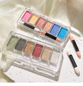 Fester, mehrfarbiger Aurora-Glitzerpulver-Paletten-Set mit Pinsel für Nailart und Augen-Make-up Detail.