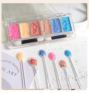 6-farbiges festes Nagelpulver Set mit klarem Etui und Werkzeugen für glänzende Maniküre.